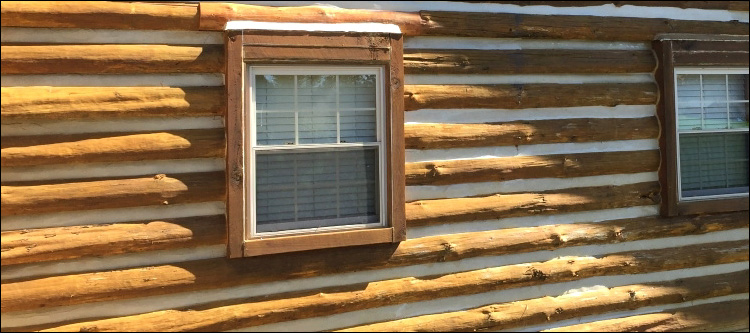 Log Home Whole Log Replacement  Essex County, Virginia