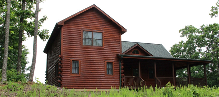 Professional Log Home Borate Application  Essex County, Virginia
